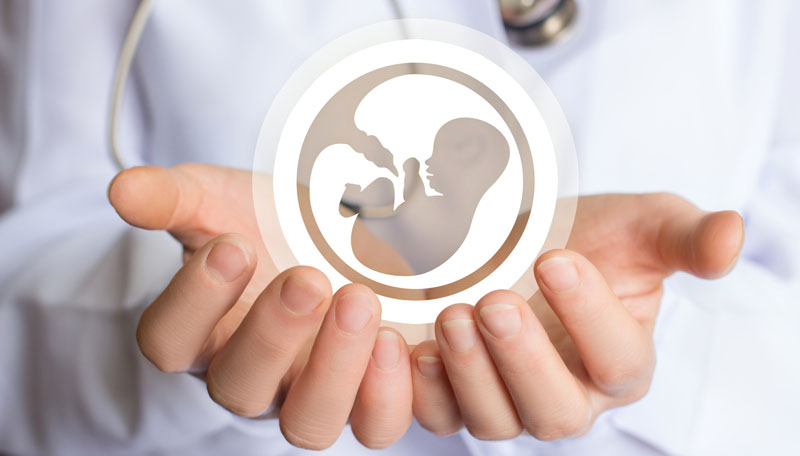 EGG DONATION- Ashirwad Hospital Raipur