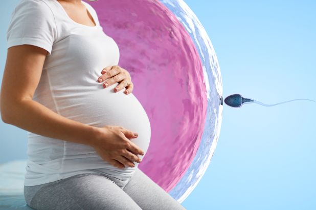 IVF - Ashirwad Hospital Raipur